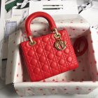 DIOR High Quality Handbags 901