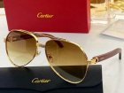 Cartier High Quality Sunglasses 669