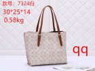 Coach Normal Quality Handbags 195
