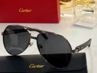 Cartier High Quality Sunglasses 675