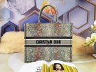 DIOR High Quality Handbags 481