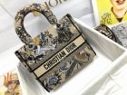 DIOR Original Quality Handbags 1148