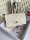 Chanel Original Quality Handbags 693