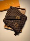 Louis Vuitton Hat & Scarve Set 59