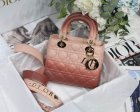 DIOR Original Quality Handbags 787