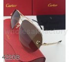 Cartier Sunglasses 738