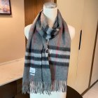 Burberry Scarves 148