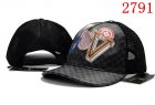 Louis Vuitton Normal Quality Hats 09