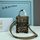 DIOR High Quality Handbags 441