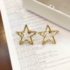 Dior Jewelry Earrings 160