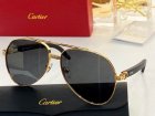 Cartier High Quality Sunglasses 671