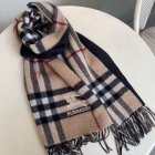 Burberry Scarves 29
