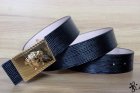 Versace Normal Quality Belts 73