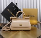 Dolce & Gabbana High Quality Handbags 04