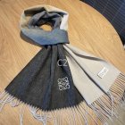 Loewe Scarves 81