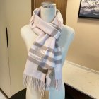 Burberry Scarves 161