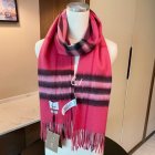 Burberry Scarves 150
