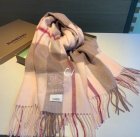 Burberry Scarves 274