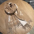 Louis Vuitton Scarves 101