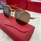Cartier High Quality Sunglasses 242