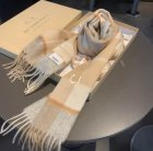 Burberry Scarves 39