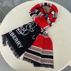 Burberry Scarves 176
