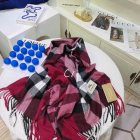 Burberry Scarves 459