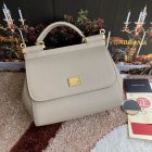 Dolce & Gabbana High Quality Handbags 141