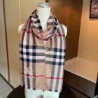 Burberry Scarves 388