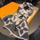Louis Vuitton Scarves 248