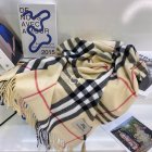 Burberry Scarves 467