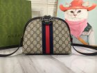 Gucci High Quality Handbags 1069