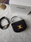 CELINE High Quality Handbags 02