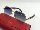 Cartier High Quality Sunglasses 1013
