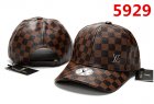 Louis Vuitton Normal Quality Hats 21