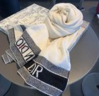 DIOR Scarves 23