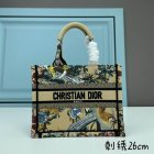 DIOR High Quality Handbags 290