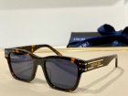DIOR High Quality Sunglasses 1889