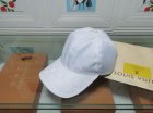 Louis Vuitton High Quality Hats 352