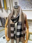 Burberry Scarves 08