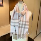 Burberry Scarves 146