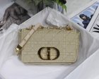 DIOR Original Quality Handbags 55