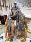 Louis Vuitton Scarves 111