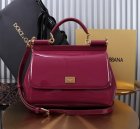 Dolce & Gabbana High Quality Handbags 728