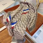 DIOR Scarves 148