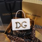 Dolce & Gabbana High Quality Handbags 20