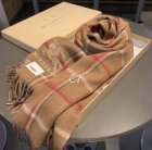 Burberry Scarves 170