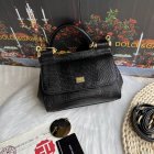 Dolce & Gabbana High Quality Handbags 294