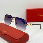 Cartier High Quality Sunglasses 300