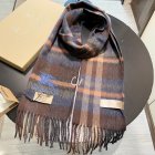 Burberry Scarves 374